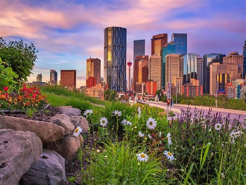 Sunnyside Calgary Real Estate Forecast 2024: Seize the Opportunity