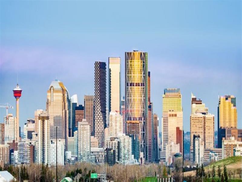 From Listings to Luxury: Navigating the Renfrew Calgary Homes for Sale Market